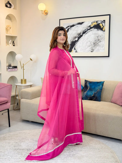 Embroidered Chiffon Dupatta - Stitch Outfit