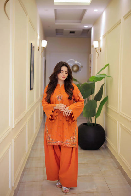 Embroidered Olaaa 2pc Farshi - Stitch Outfit