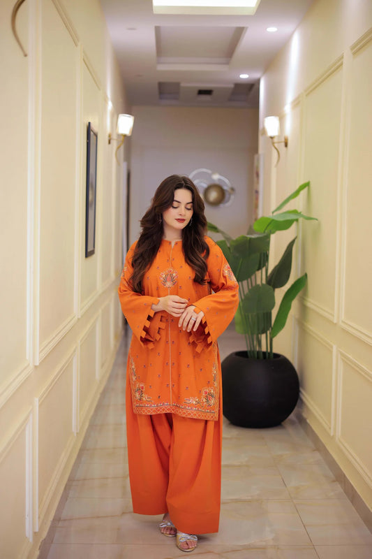 Embroidered Olaaa 2pc Farshi - Stitch Outfit