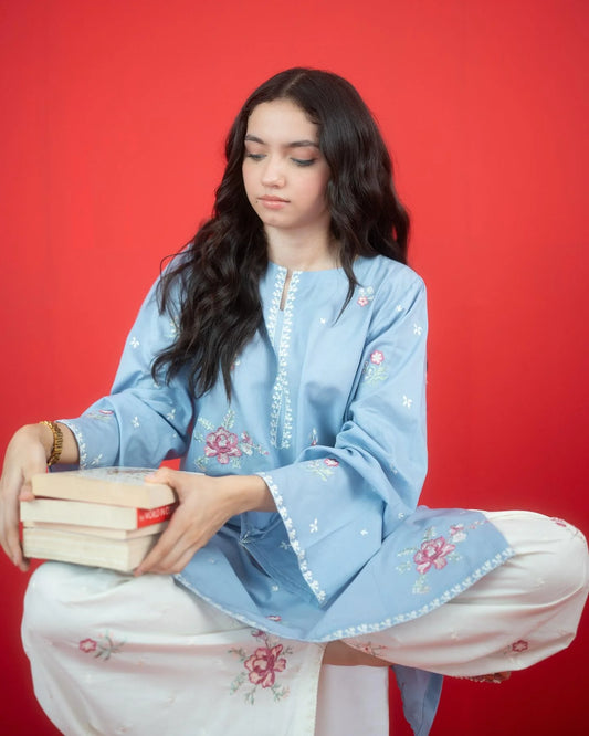 Fiza Lawn 2-Piece Suit - Stitch Outfit